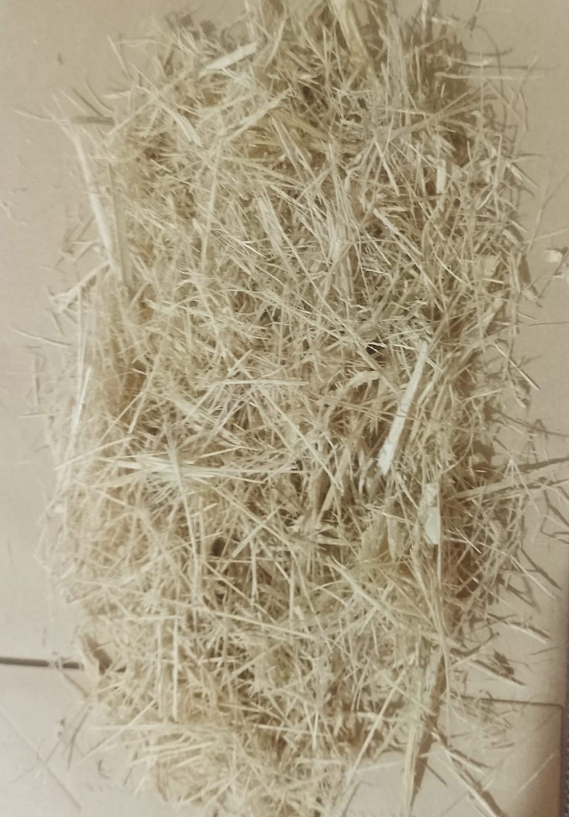FIBRA DE BAMBÚ - Image 2