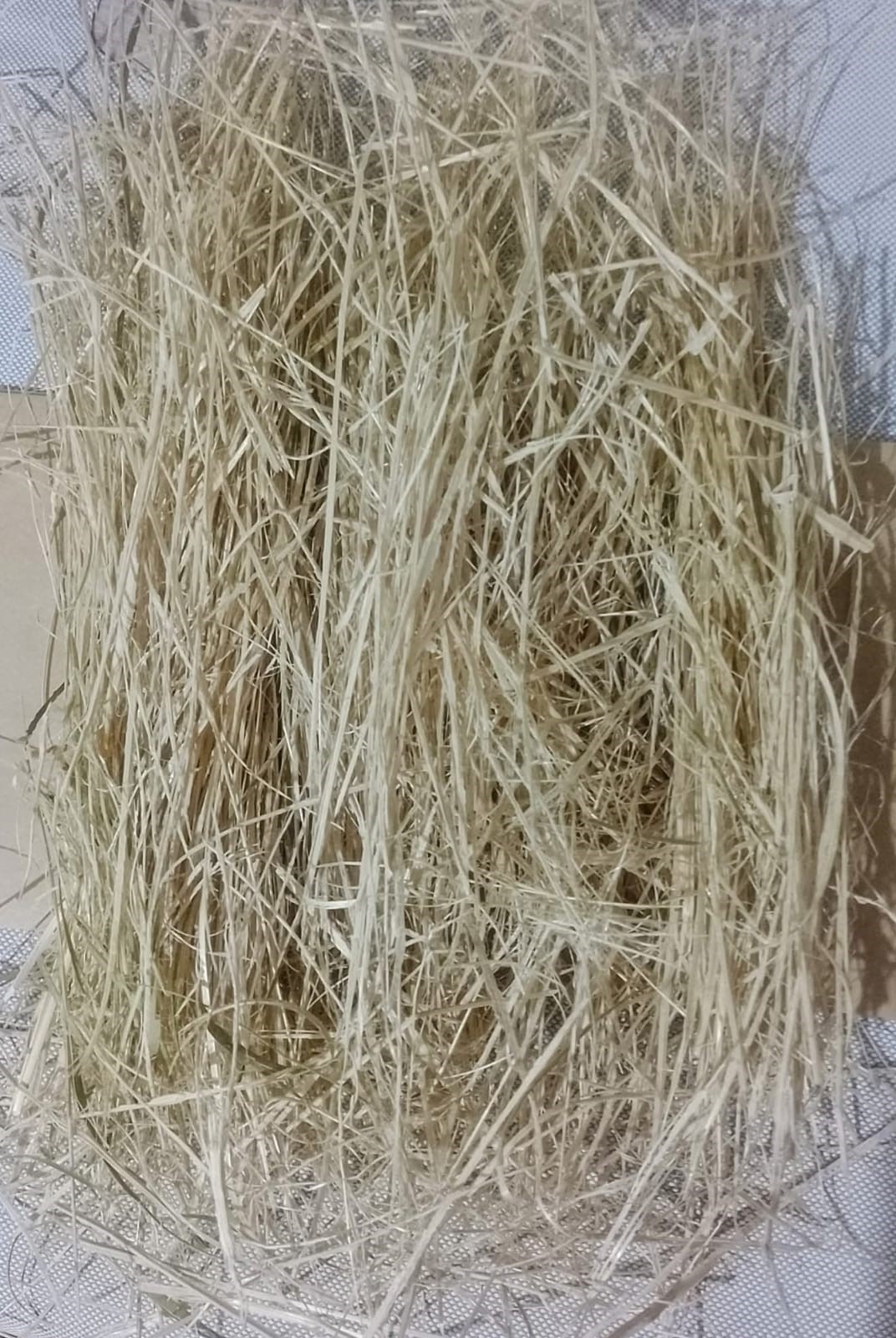 FIBRA DE BAMBÚ - Image 3